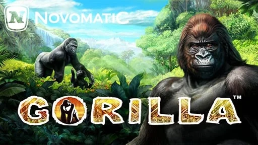 Gorilla